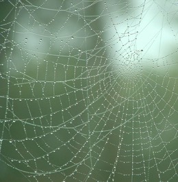 DSCF0005