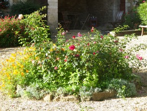 IMG 0261