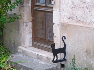 IMG 0329