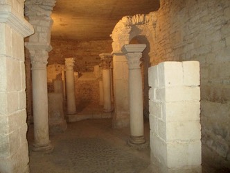 IMG 0339