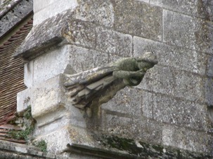 IMG 0355